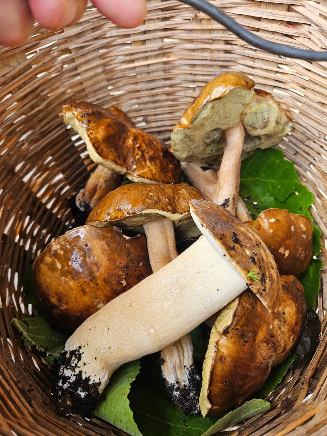 Chef Davide Batti