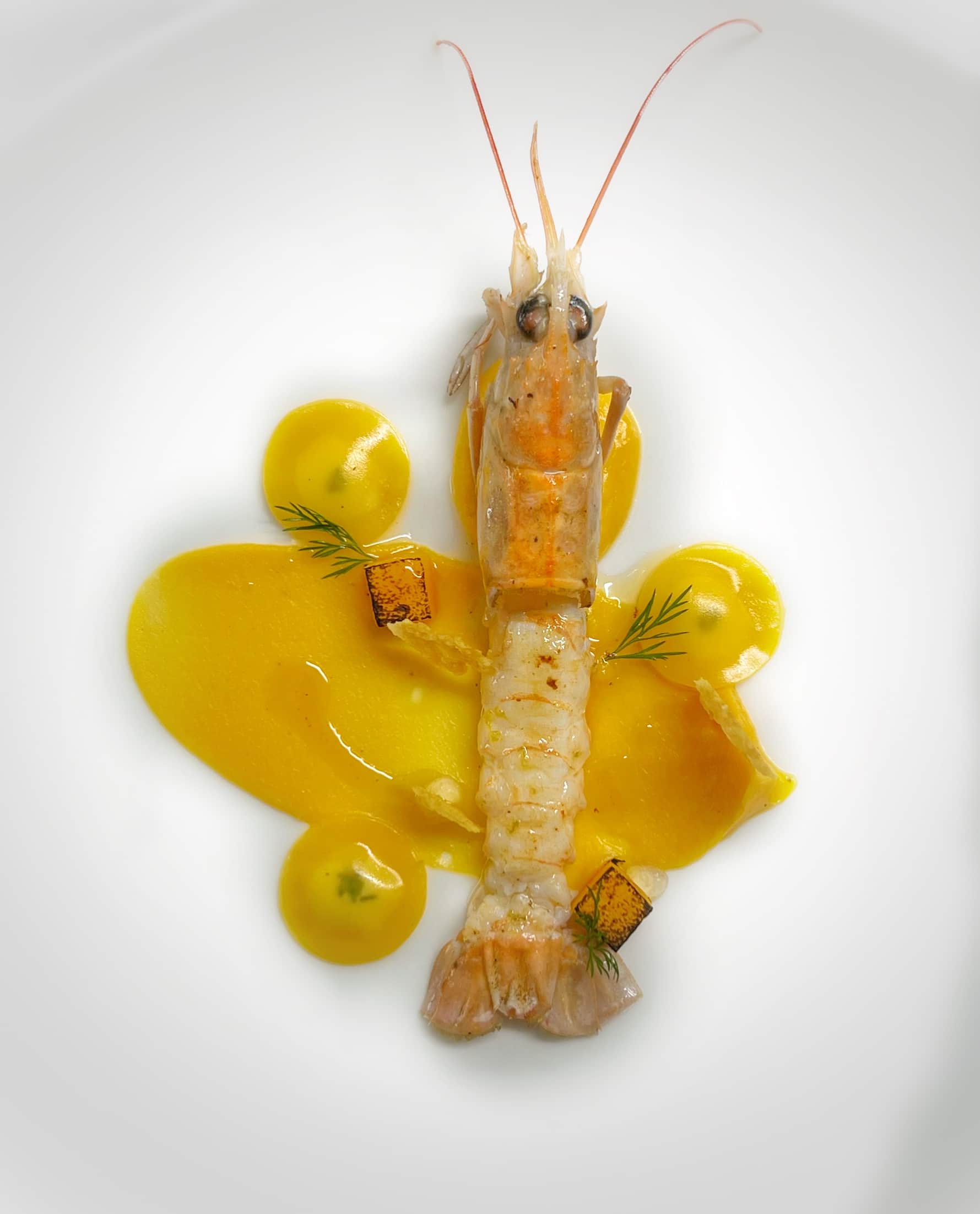 Chef Tanisha Rao