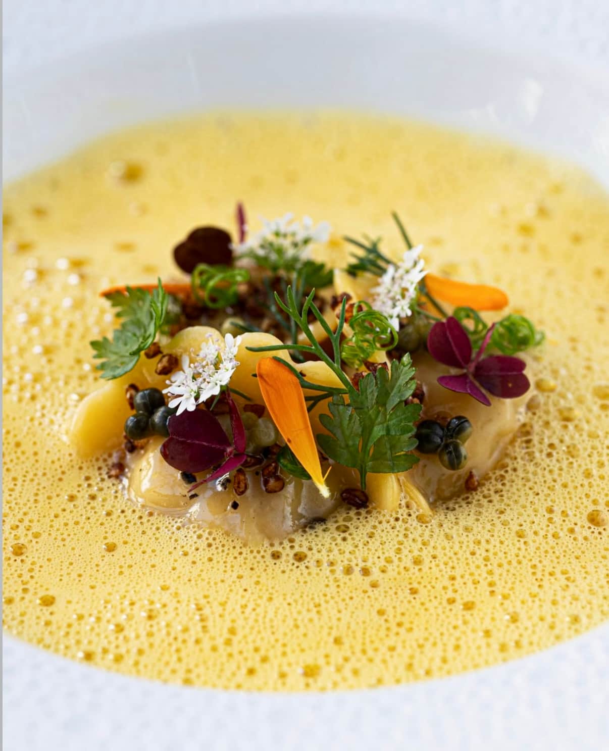 Chef Jose Flores
