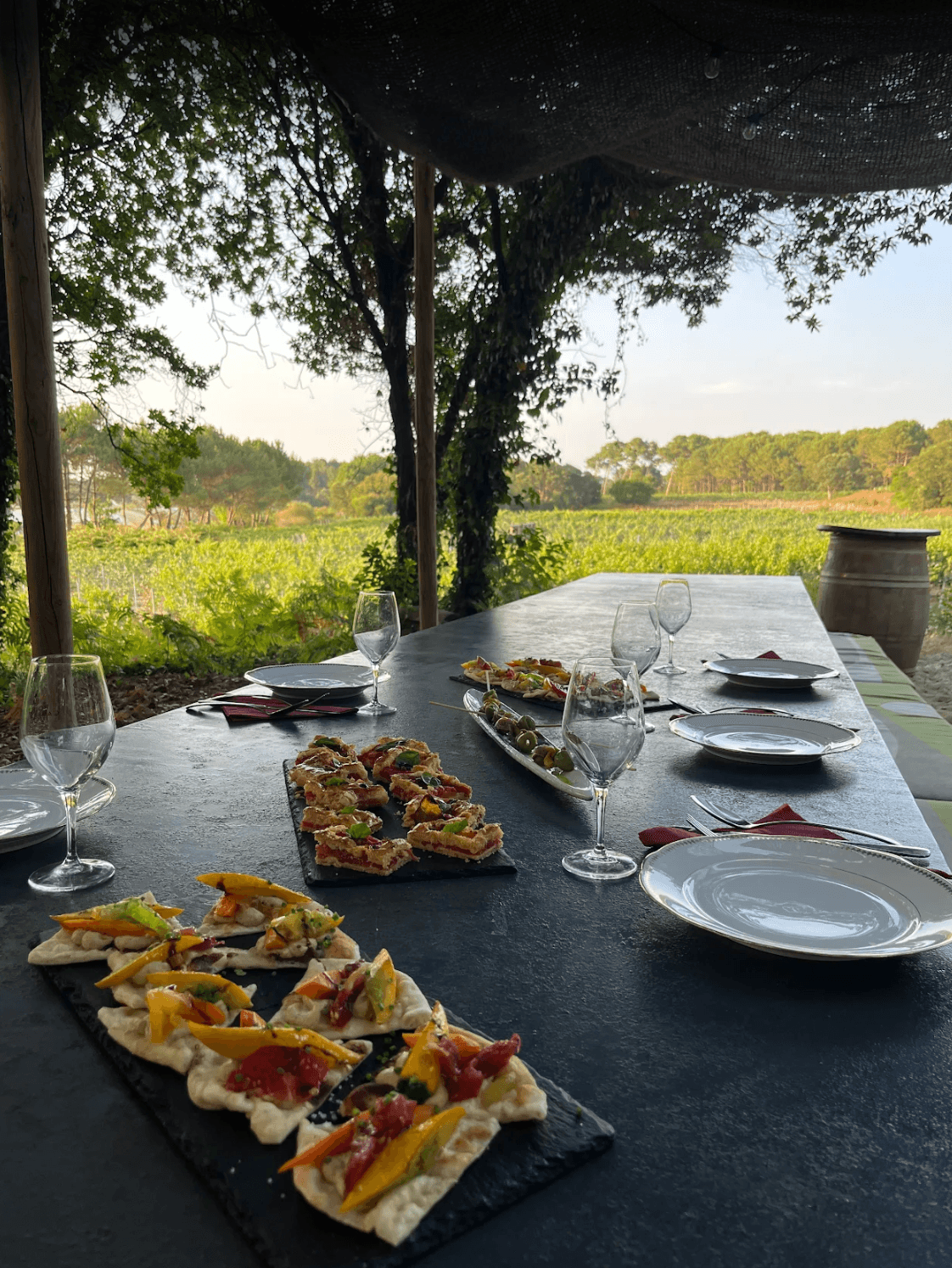 Chef Eva Otwinowski's picture