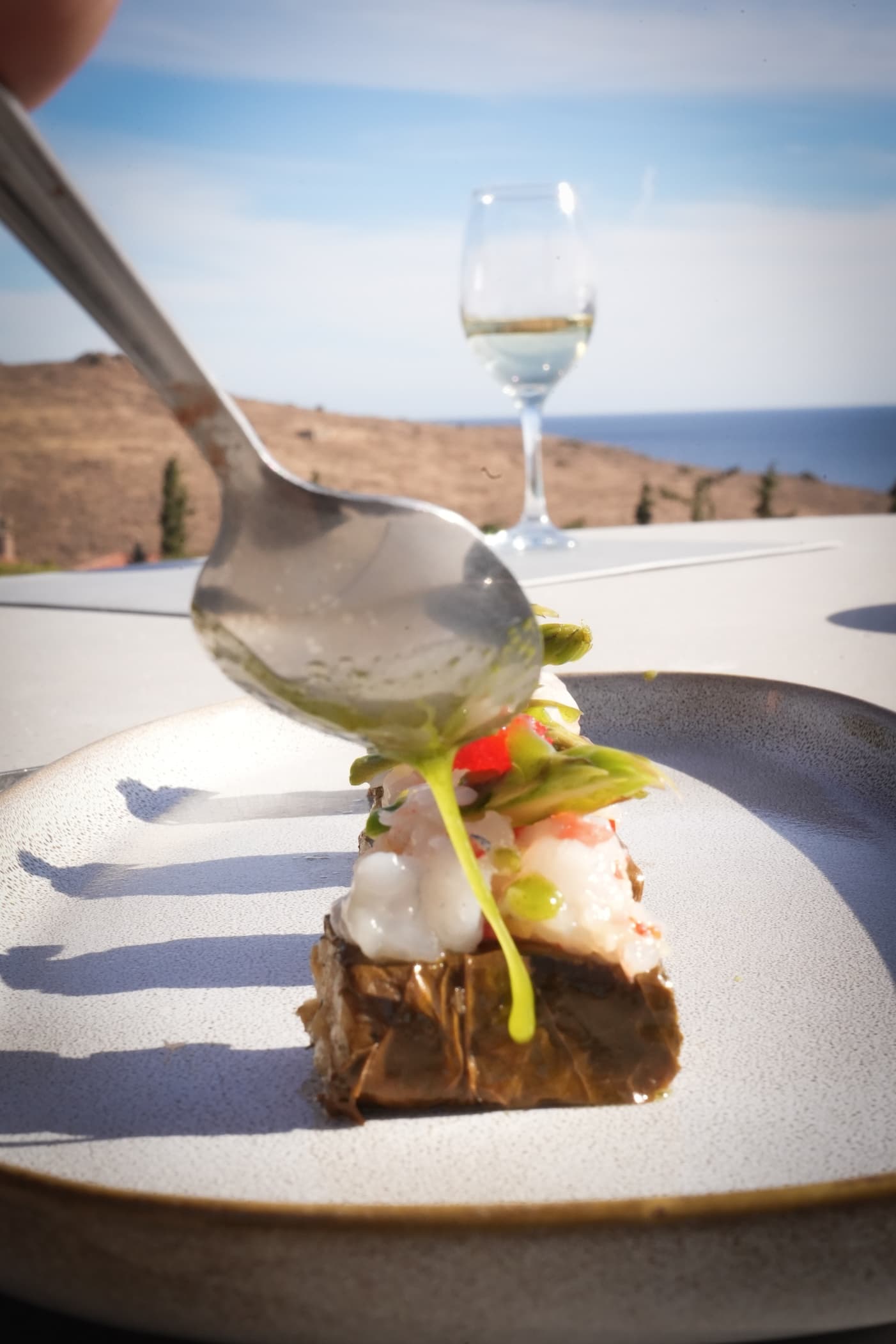 Chef Ioannis Papadakos's picture