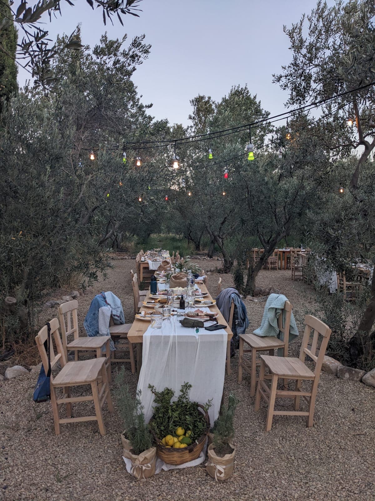 Chef Lucie Le Gourrierec's picture