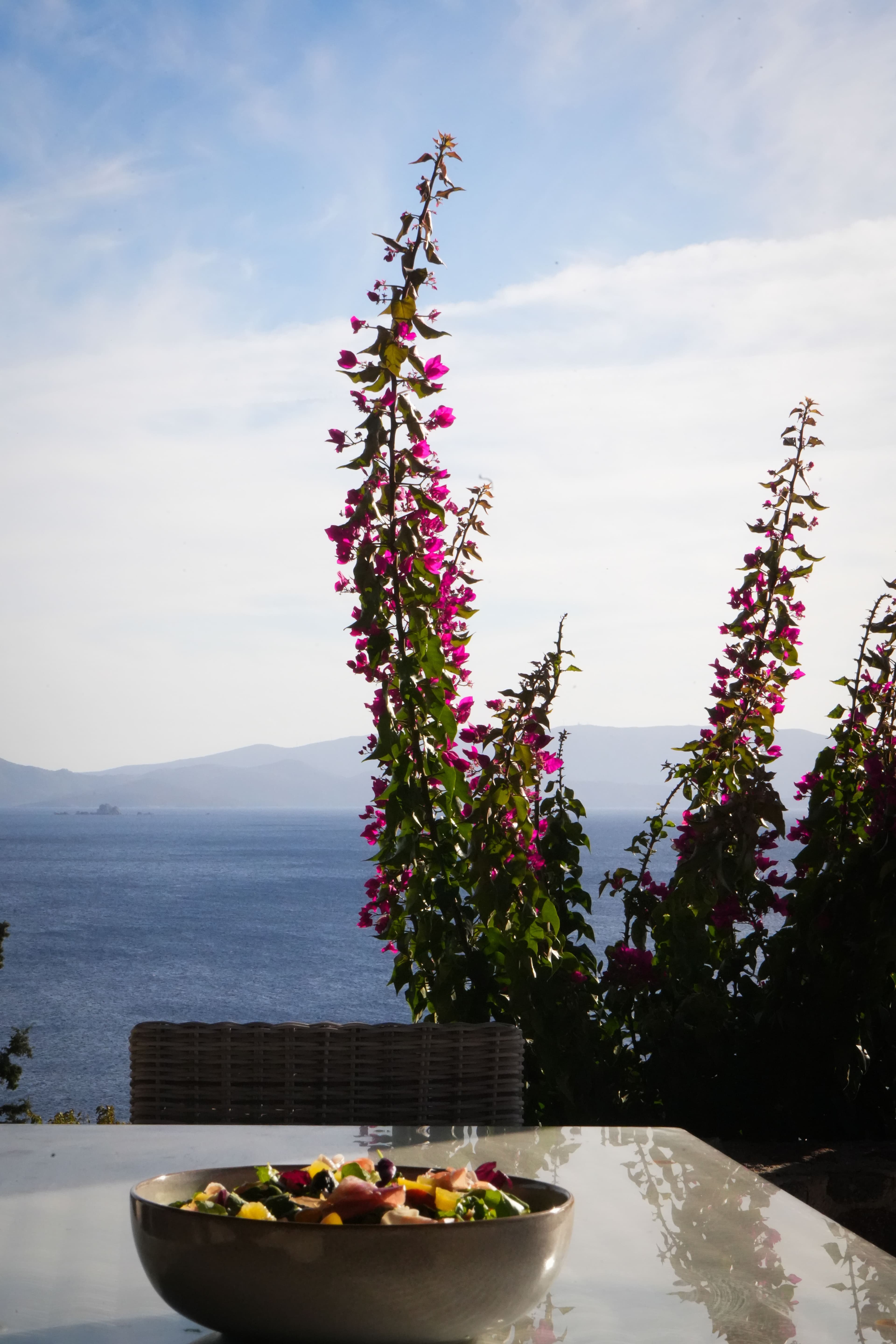 Chef Ioannis Papadakos's picture