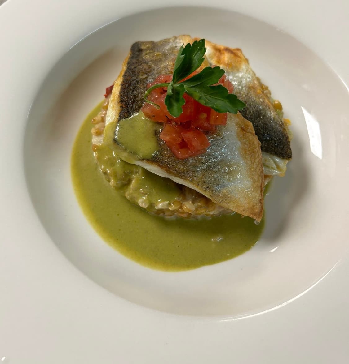 Chef Trevys Patient's picture