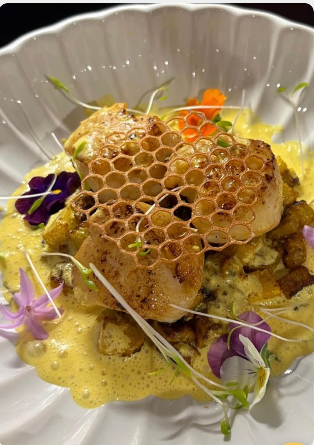 Chef Trevys Patient's picture