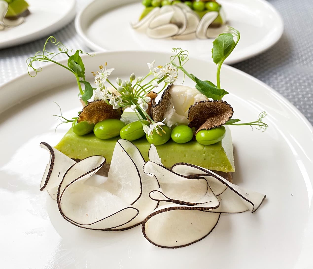Vegetarisch eten op hoog niveau example of a private chef experience