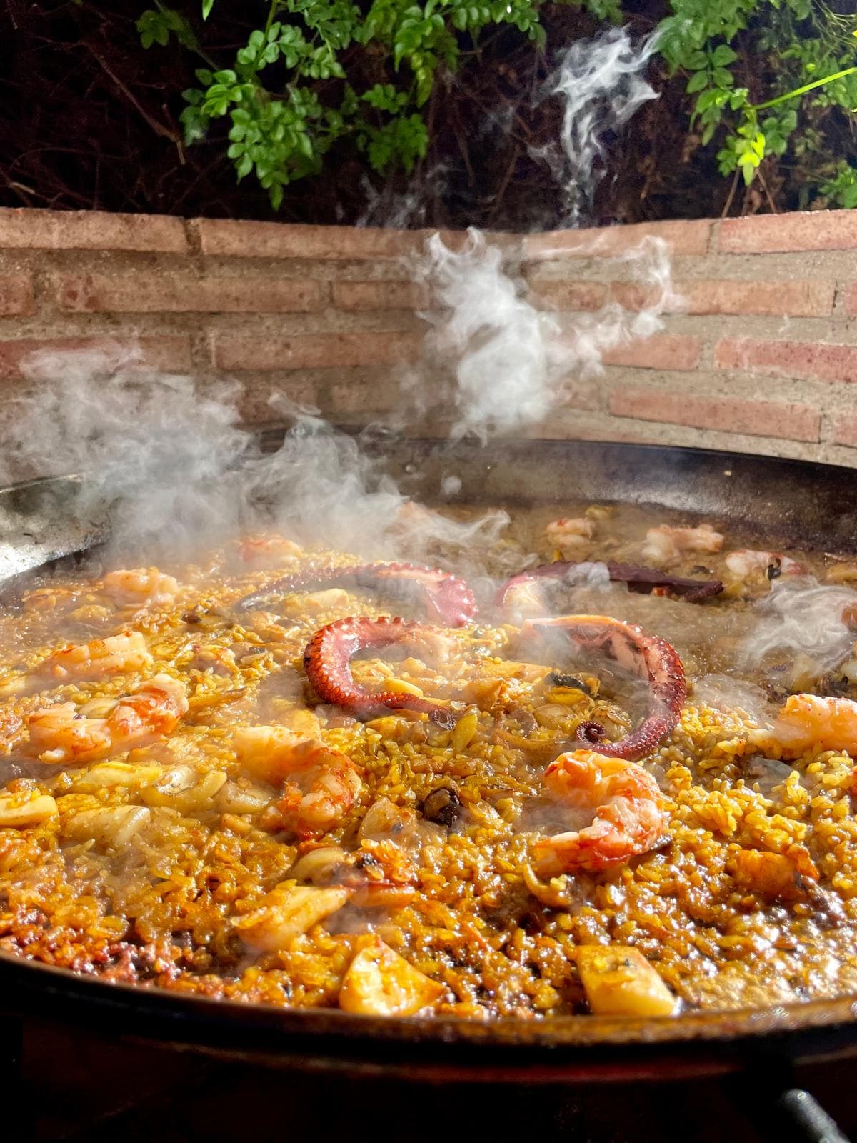 Chef Catalina Brennan's picture