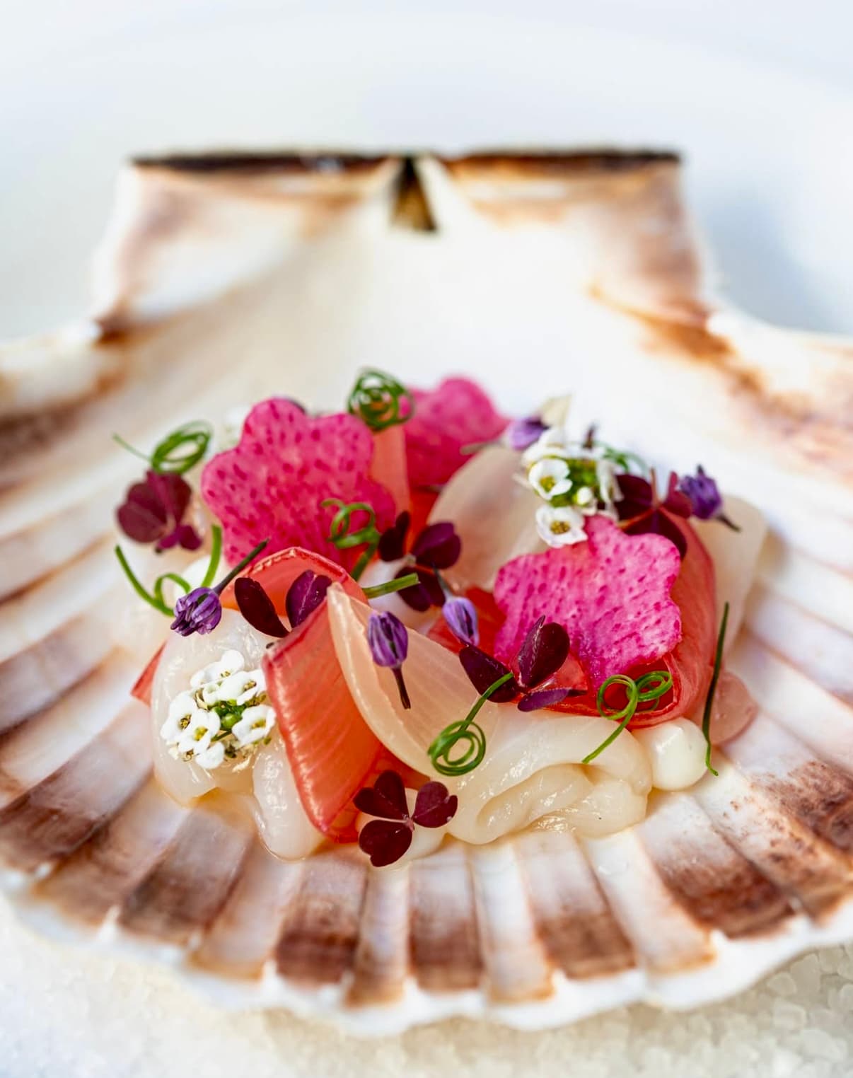 Chef Jose Flores's picture