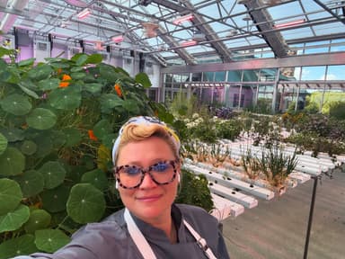 Chef Renee Tomato's profile picture