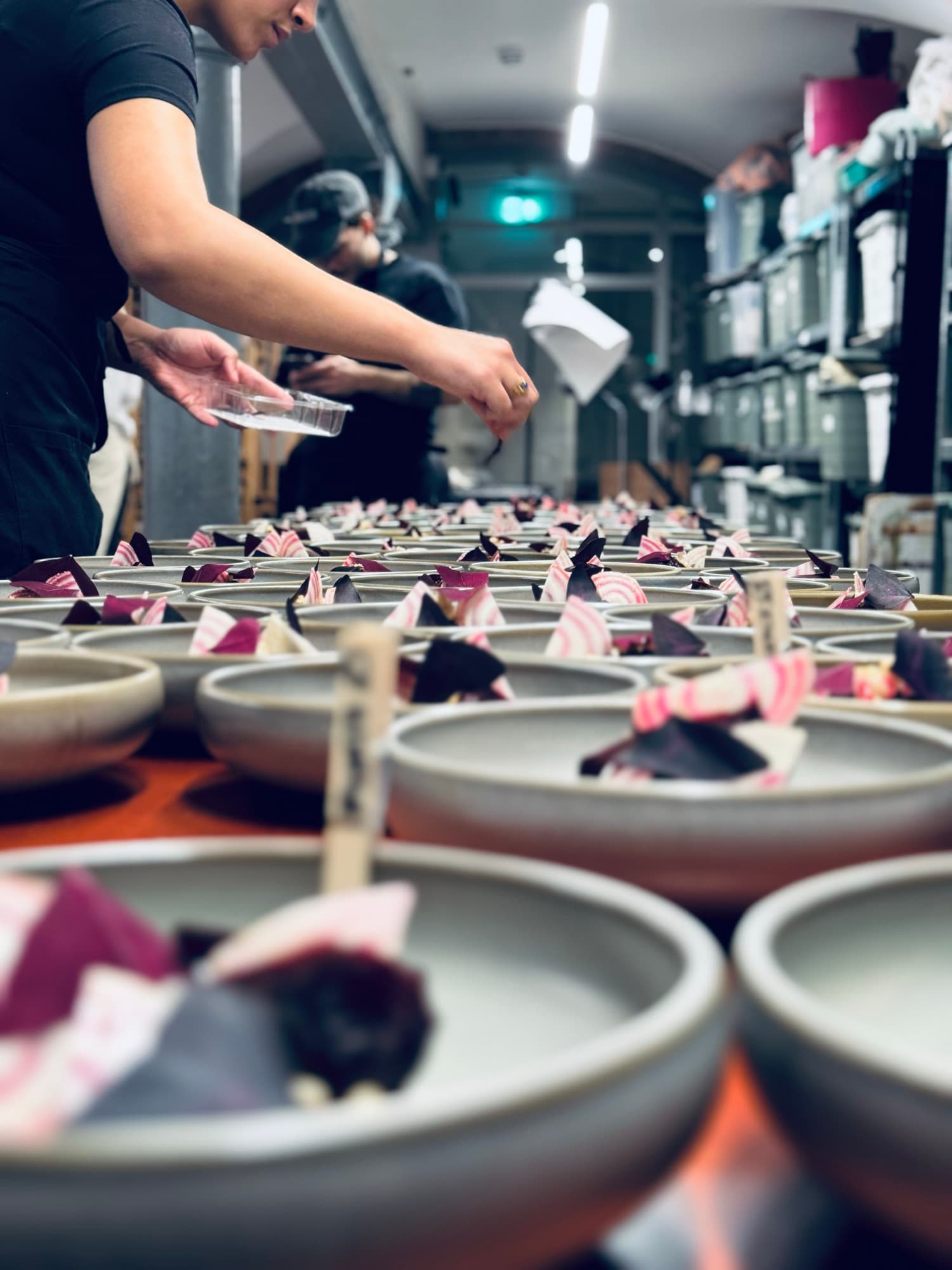 Chef Flip Heemsbergen's picture