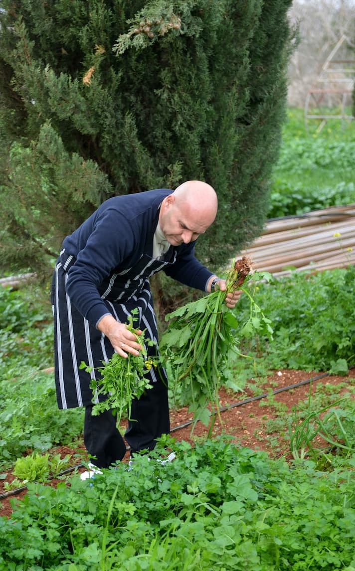 Chef Antonis Nicolaou's picture