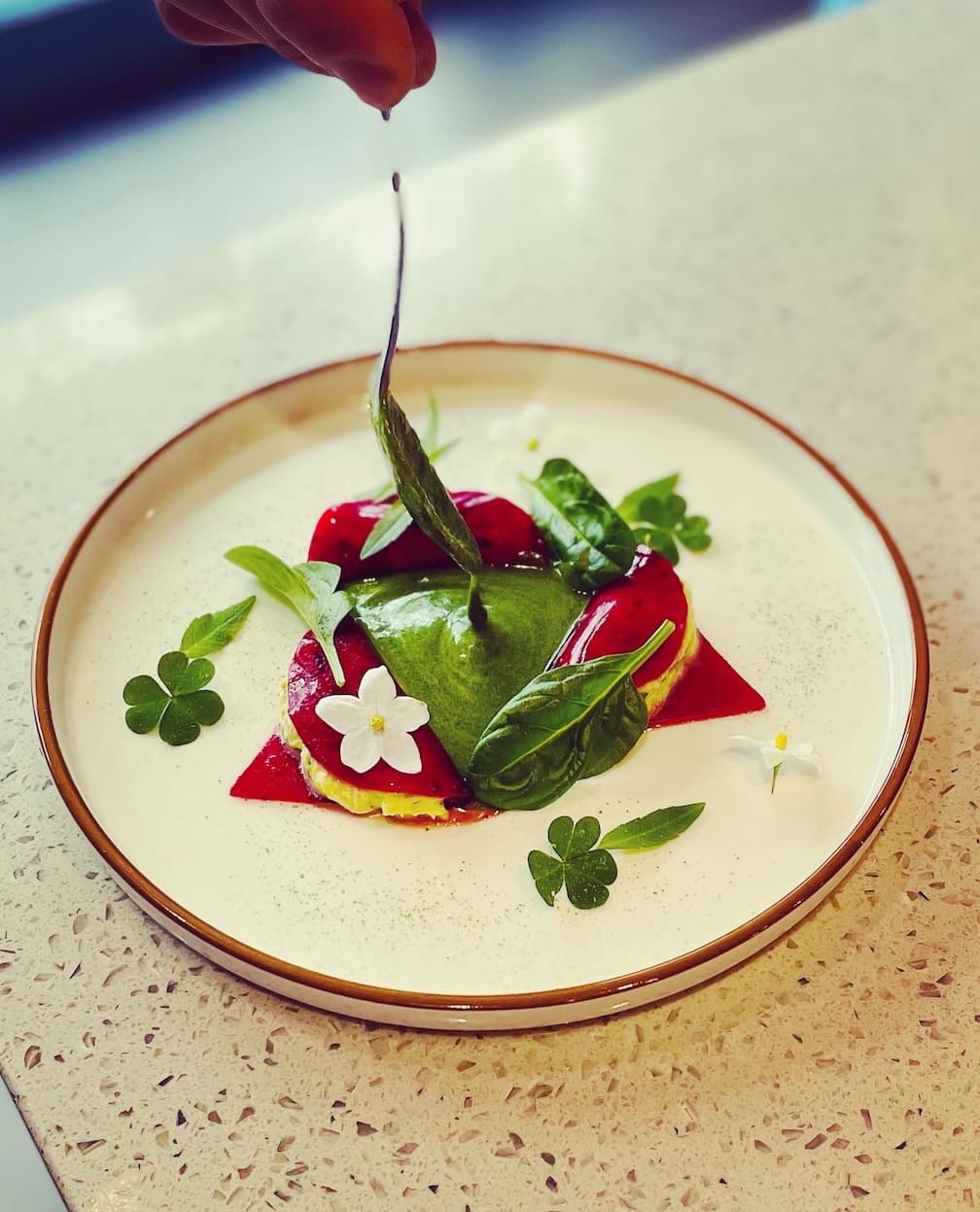 Chef Thibault Lefèvre's picture