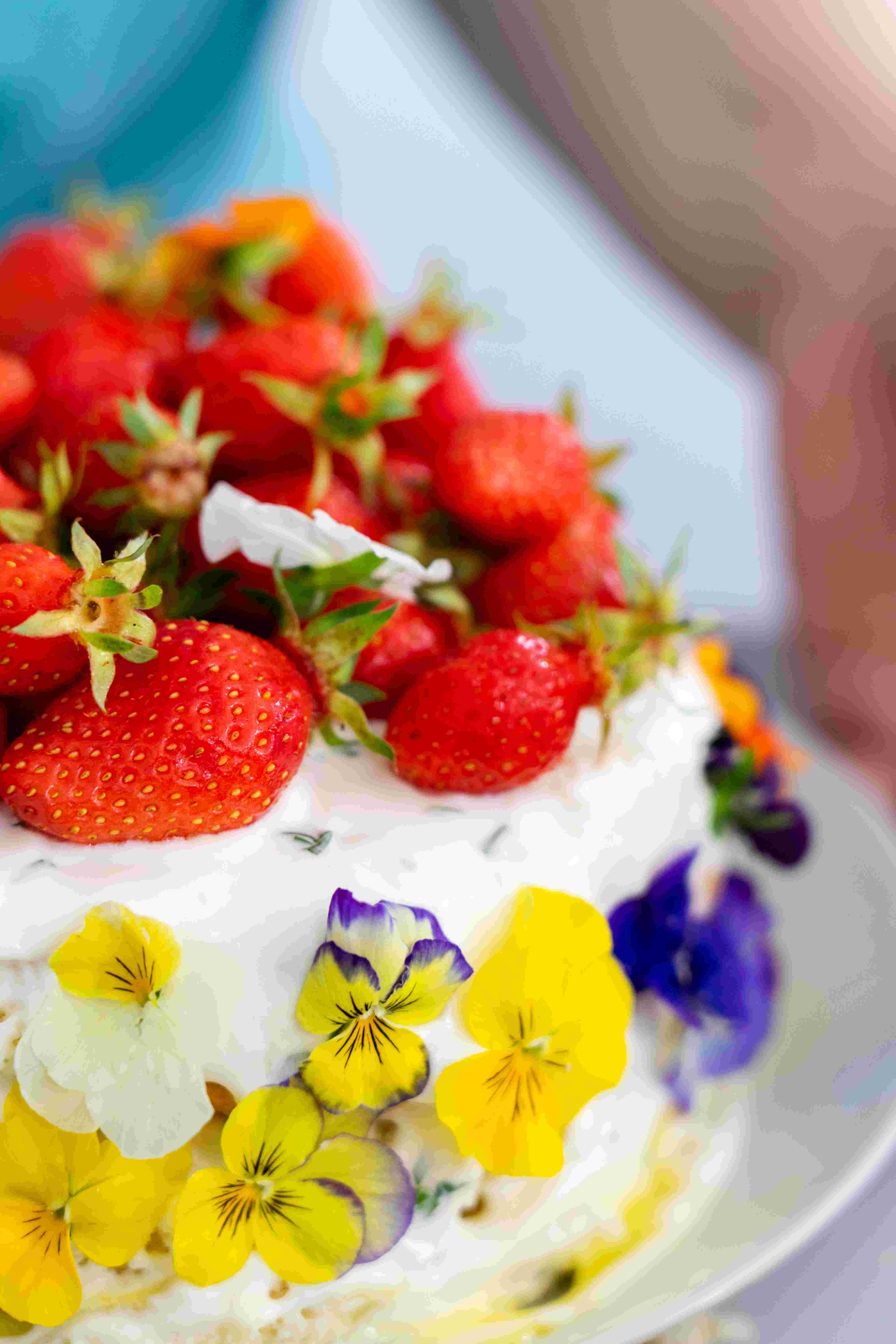 Chef Léa Ben Denoune's picture