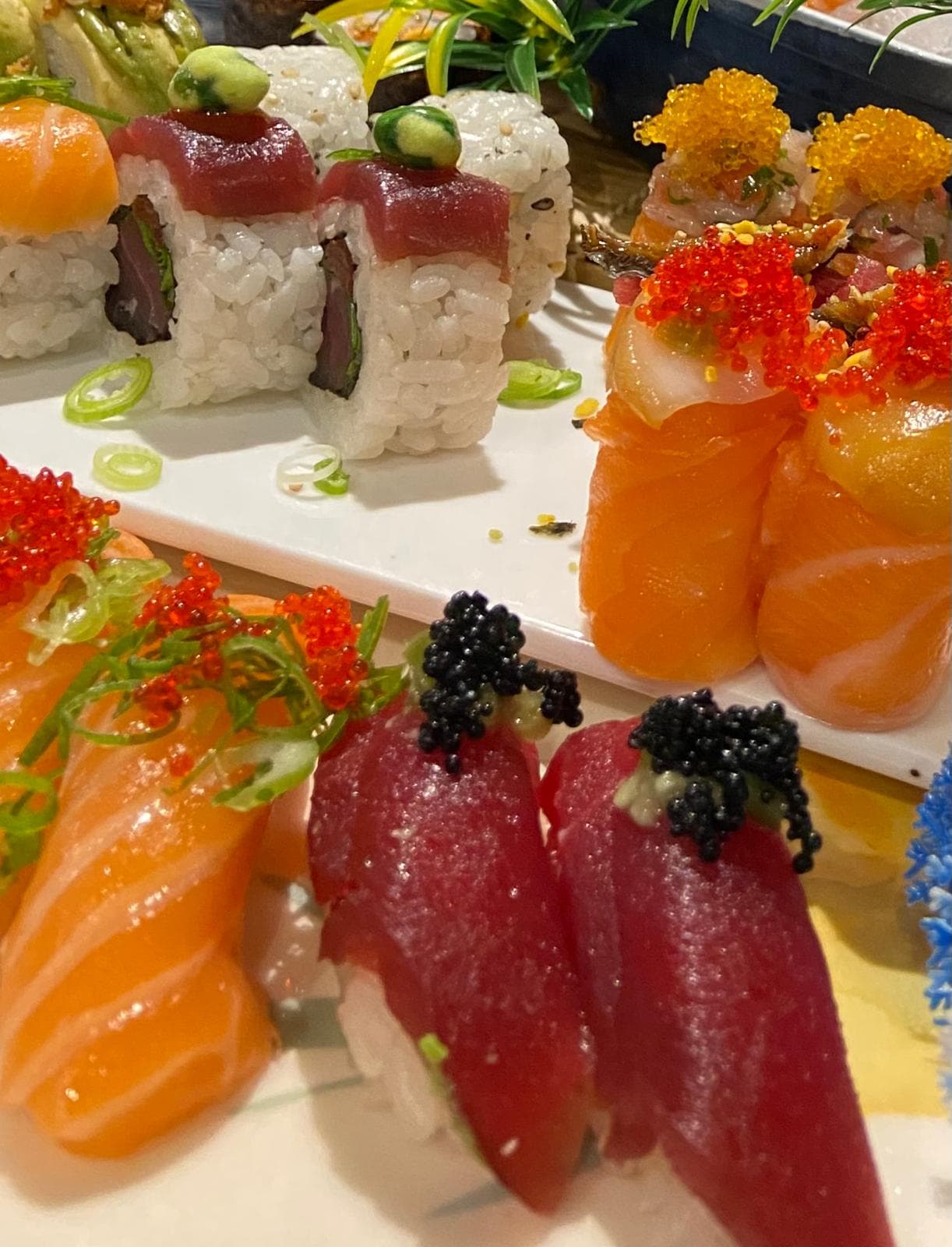 Chef Salvador Malheiro's picture