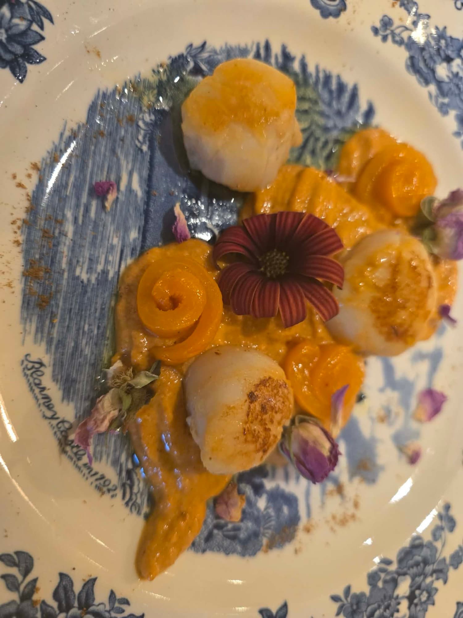 Chef Xiomara Cristina Medos Veloz's picture